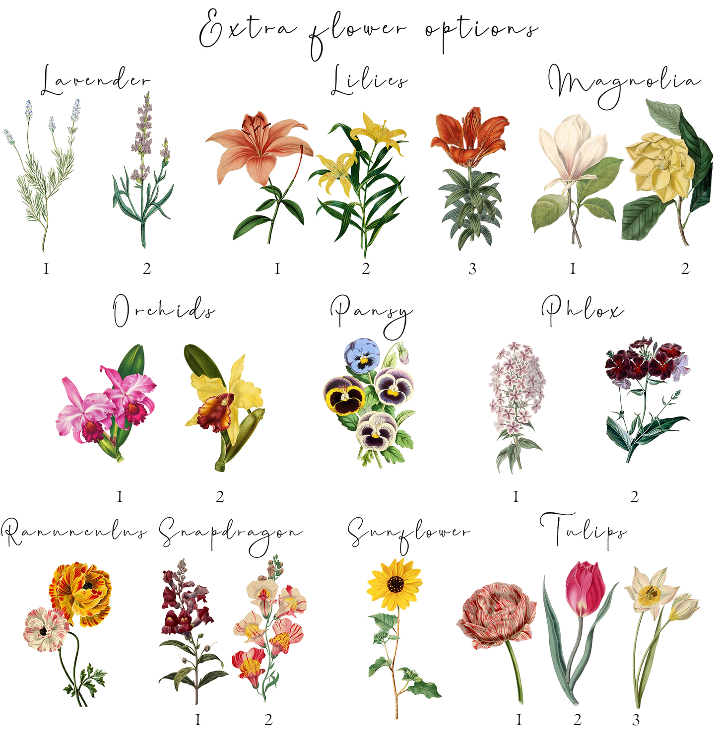 Colleague's leaving gift | personalised garden print | custom birth month flower portrait | A4 | A5 | Greeting card